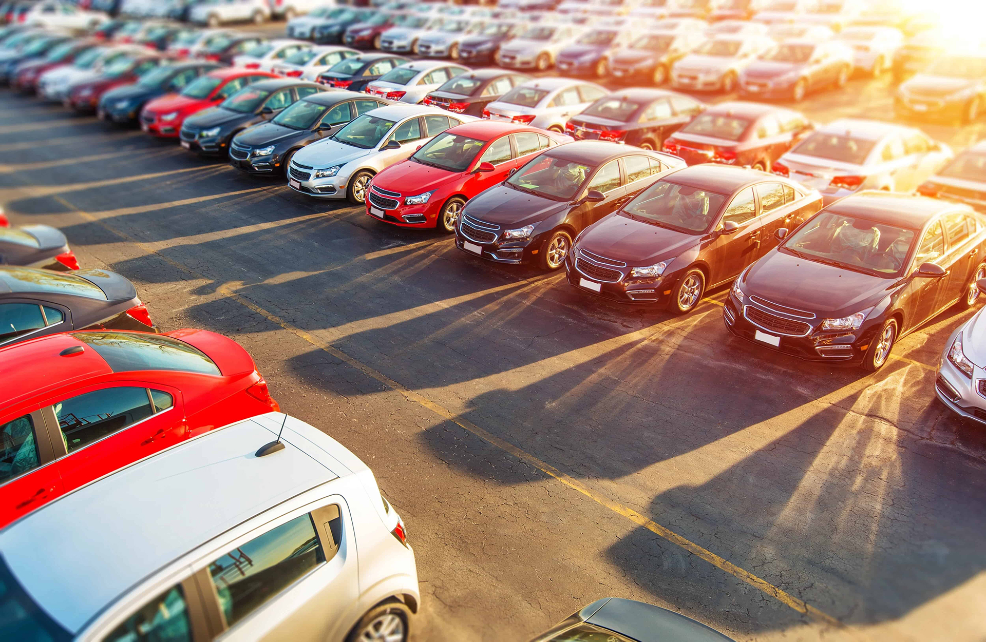 Car Lux Distribution - Parc automobile